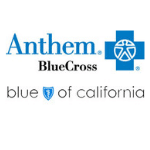 Anthem Blue Cross In Network Insurance Physical Therapy