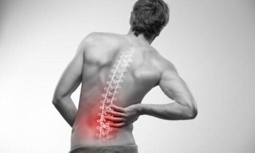Exercises for low back pain in physical therapy