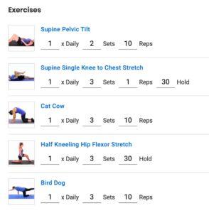 exercises to relieve back pain in physical therapy